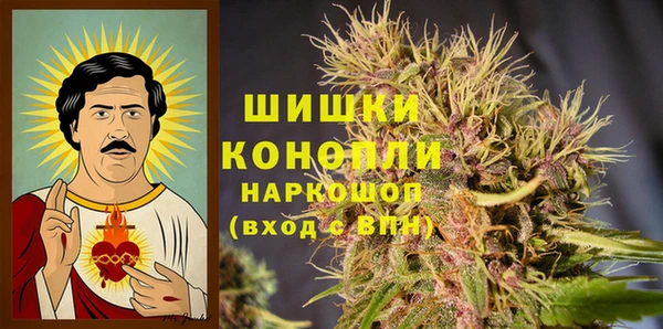 хмурый Касимов