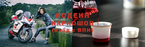 индика Киренск