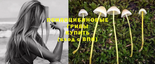 индика Киренск