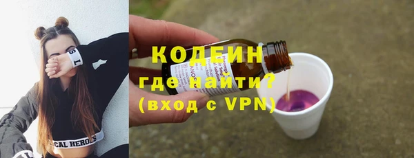 хмурый Касимов