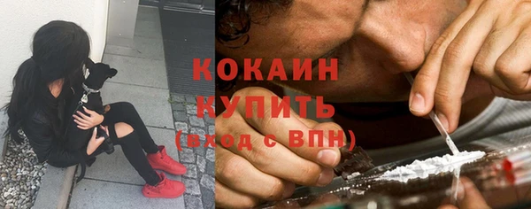 гидра Карталы