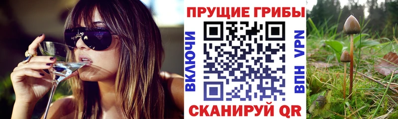 Галлюциногенные грибы мицелий  Купить закладки  Коряжма 